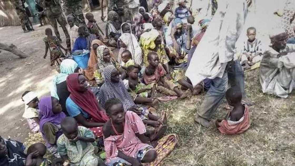 Fusattatun 'yan gudun hijira sun farma tubabbun 'yan Boko Haram a Borno Fusattatun 'yan gudun hijira sun farma tubabbun 'yan Boko Haram a Borno