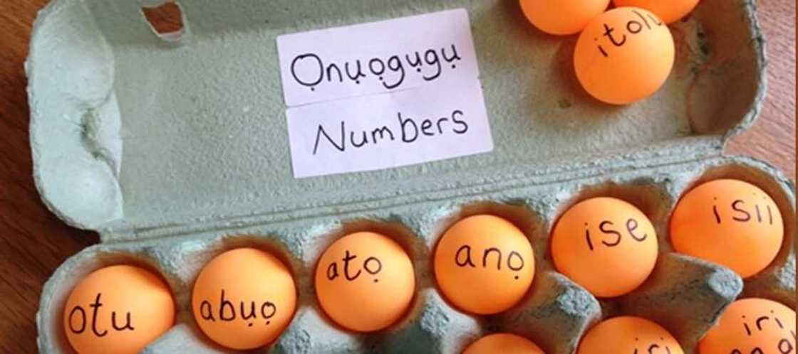 Learning numbers in Igbo Language Learning numbers in Igbo Language