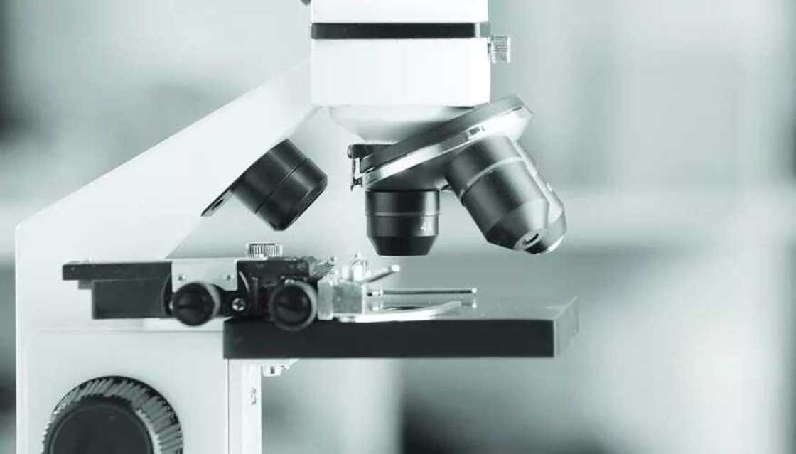 microscope microscope