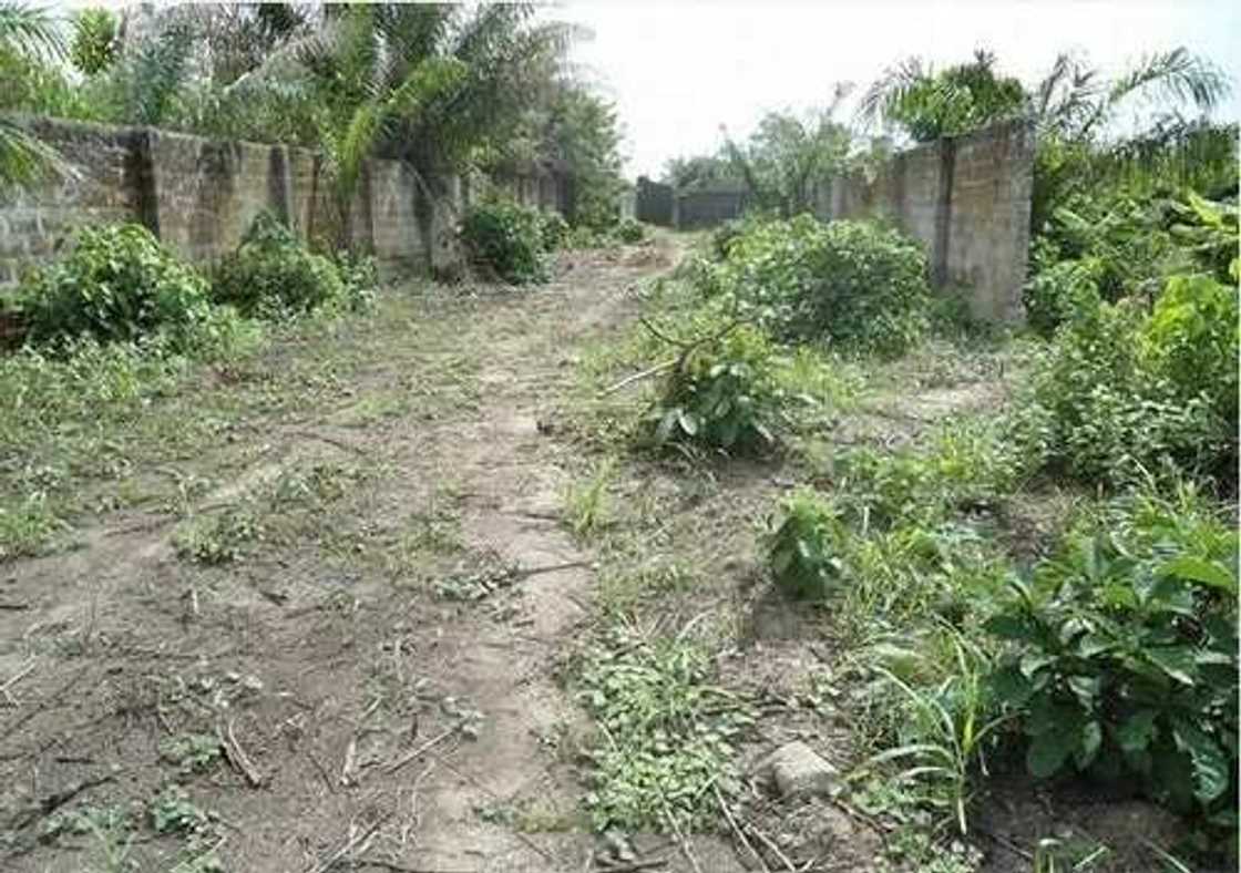 10 Most Fraudulent Places To Buy A Land In Lagos