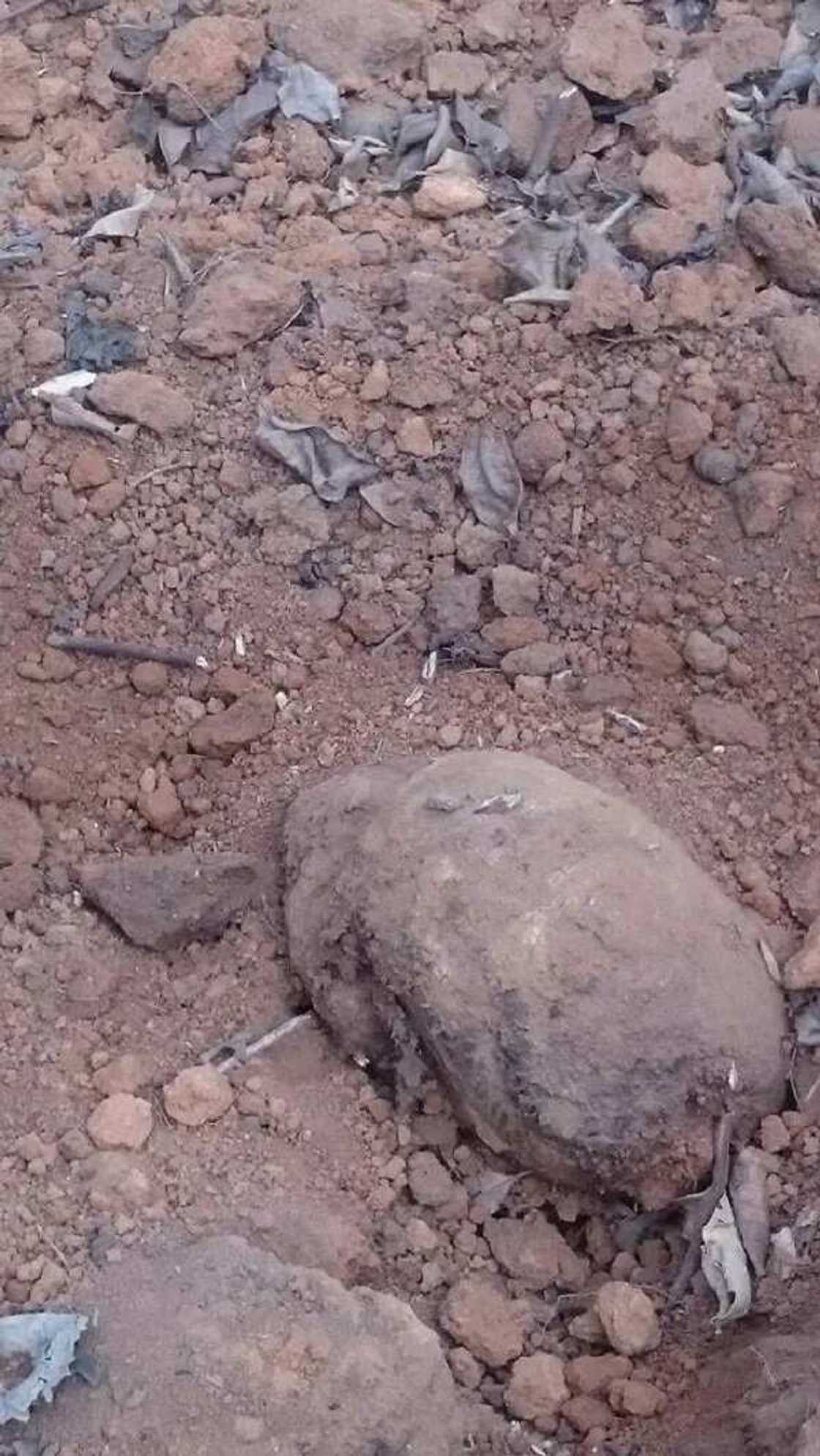 Imota Cemetery of horror Imota Cemetery of horror