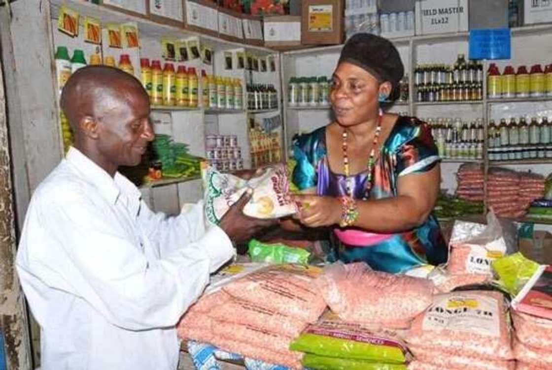 Manoma ga naku: Yadda zaka iya banbance jabu magungunan aikin gona Manoma ga naku: Yadda zaka iya banbance jabu magungunan aikin gona