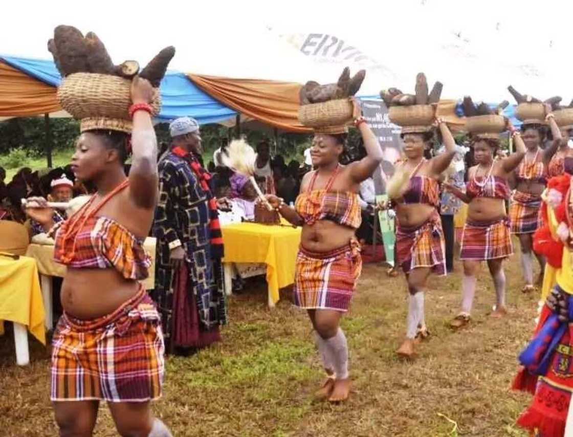 New Yam Festival New Yam Festival