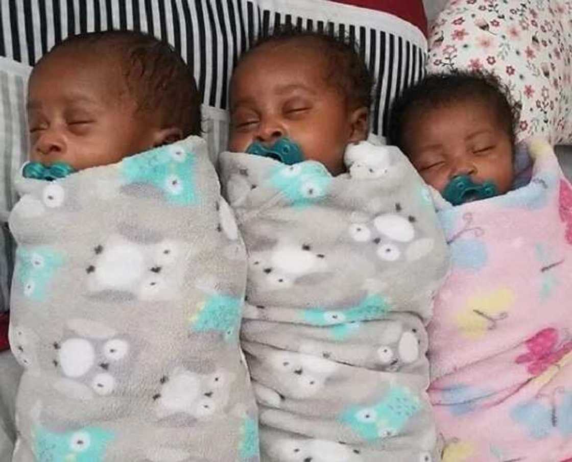 Hukumar NAPTIP ta kama likitan dake siyar da jarirai a Abuja Hukumar NAPTIP ta kama likitan dake siyar da jarirai a Abuja