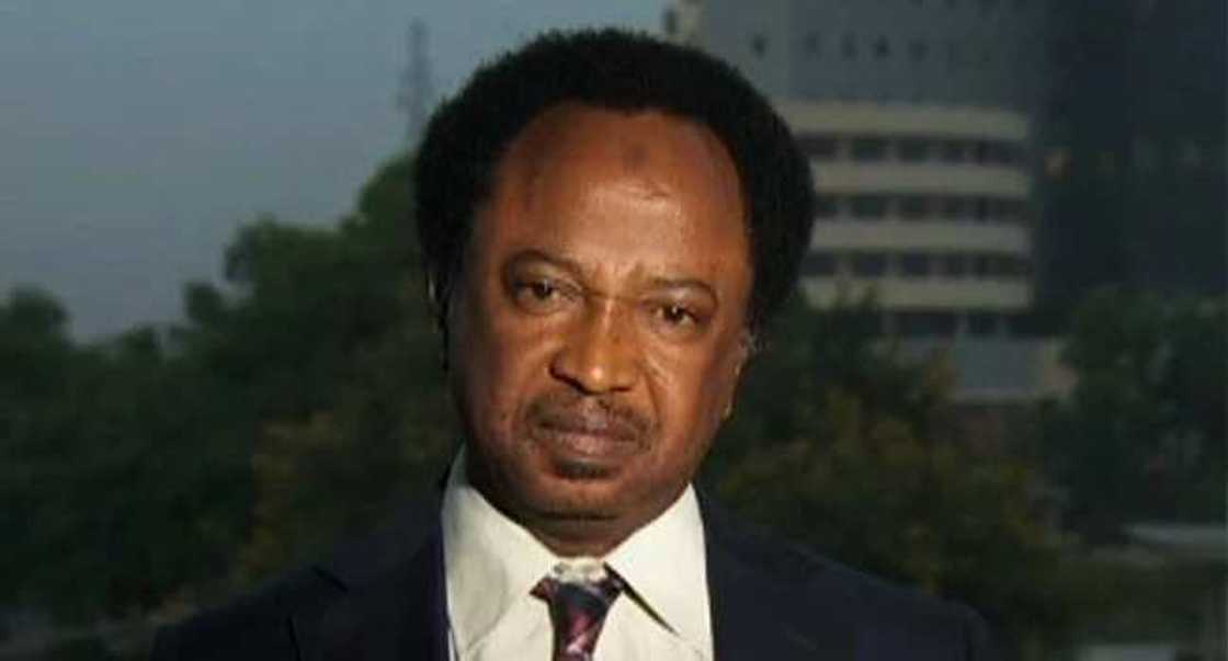 Yan daba sun kai hari ofishin kamfen Shehu Sani a Kaduna Yan daba sun kai hari ofishin kamfen Shehu Sani a Kaduna