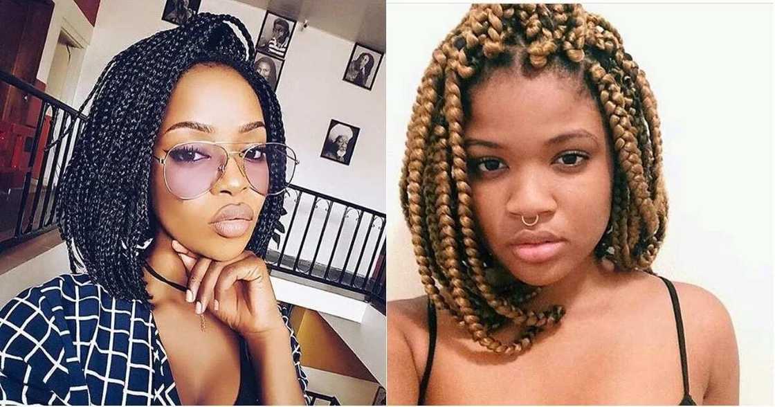 bob braids bob braids