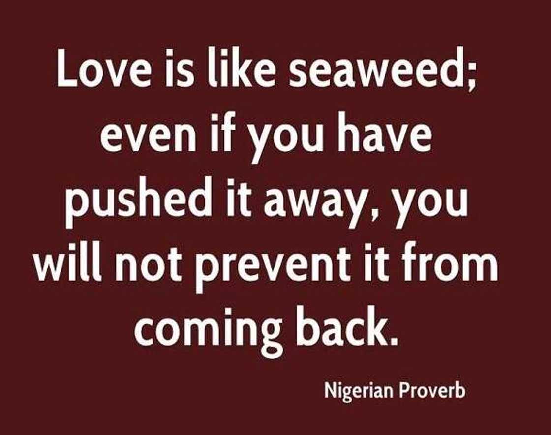 Top 15 Nigerian proverbs and their meanings Top 15 Nigerian proverbs and their meanings