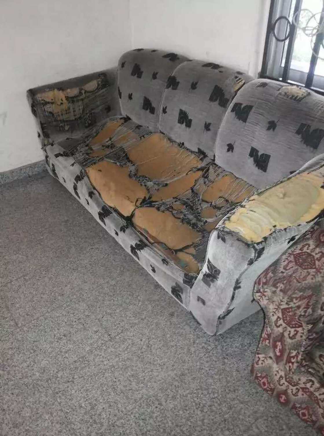 OMG! Check out visitors' seat at the Magistrate Court in Wuse, Abuja (Photo) OMG! Check out visitors' seat at the Magistrate Court in Wuse, Abuja (Photo)