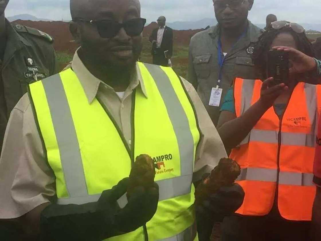 Noma tushen arziƙi: An samu wasu dankalin turawa masu girman Doya a Kaduna (HOTUNA) Noma tushen arziƙi: An samu wasu dankalin turawa masu girman Doya a Kaduna (HOTUNA)