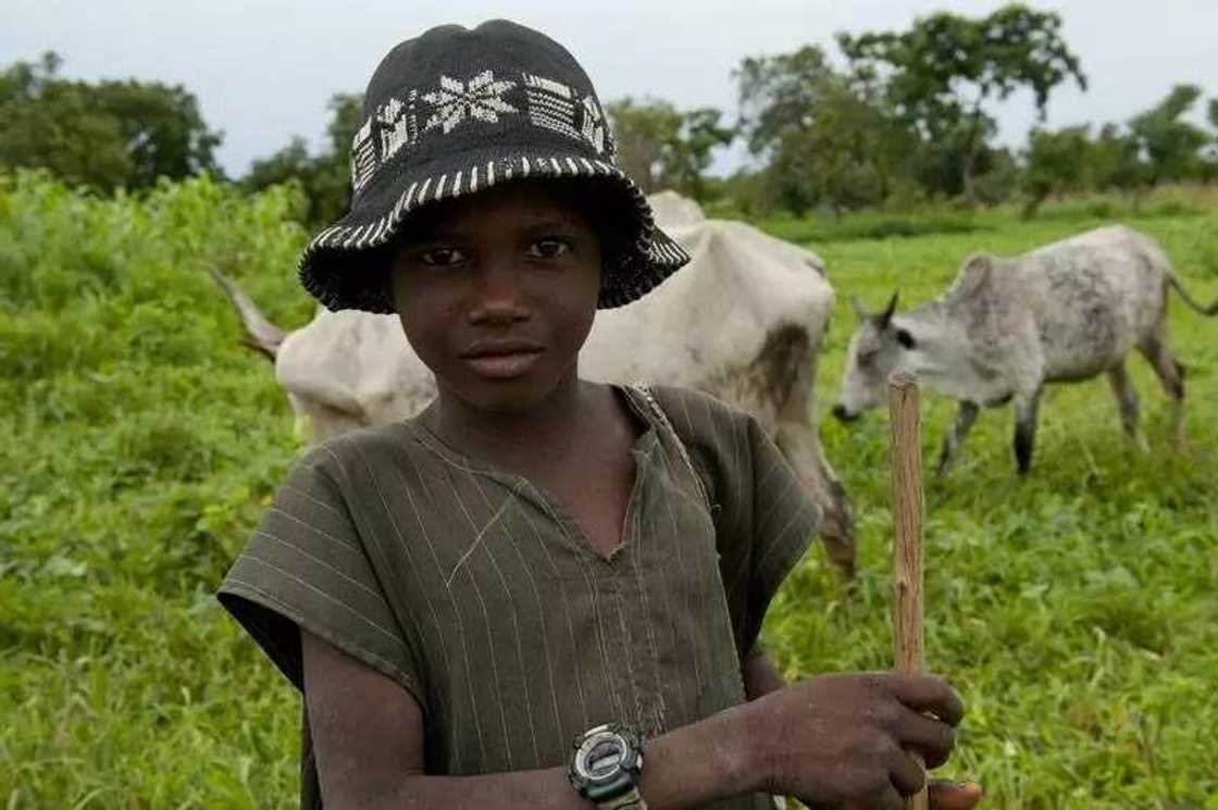 Nigerian boy Nigerian boy