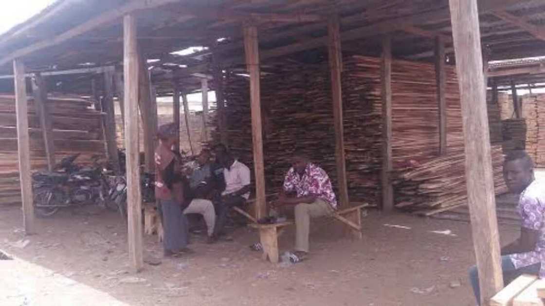 Some of the traders at the 'Katsina's Igbo timber shade market' Some of the traders at the 'Katsina's Igbo timber shade market'