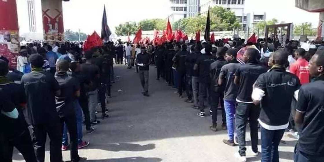 Cikin Hotuna: Tattakin da Kungiyar Shi'a ta fara gudanarwa a jihar Kano Cikin Hotuna: Tattakin da Kungiyar Shi'a ta fara gudanarwa a jihar Kano