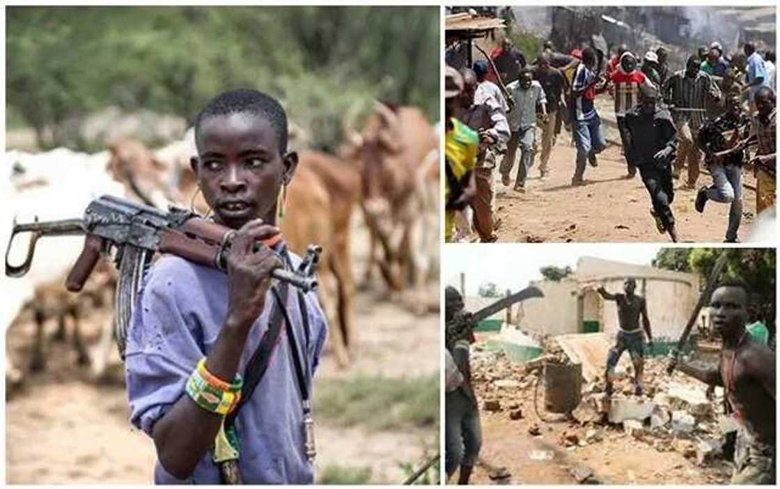 Fresh crisis between Fulani herdsmen and Benue farmers Fresh crisis between Fulani herdsmen and Benue farmers