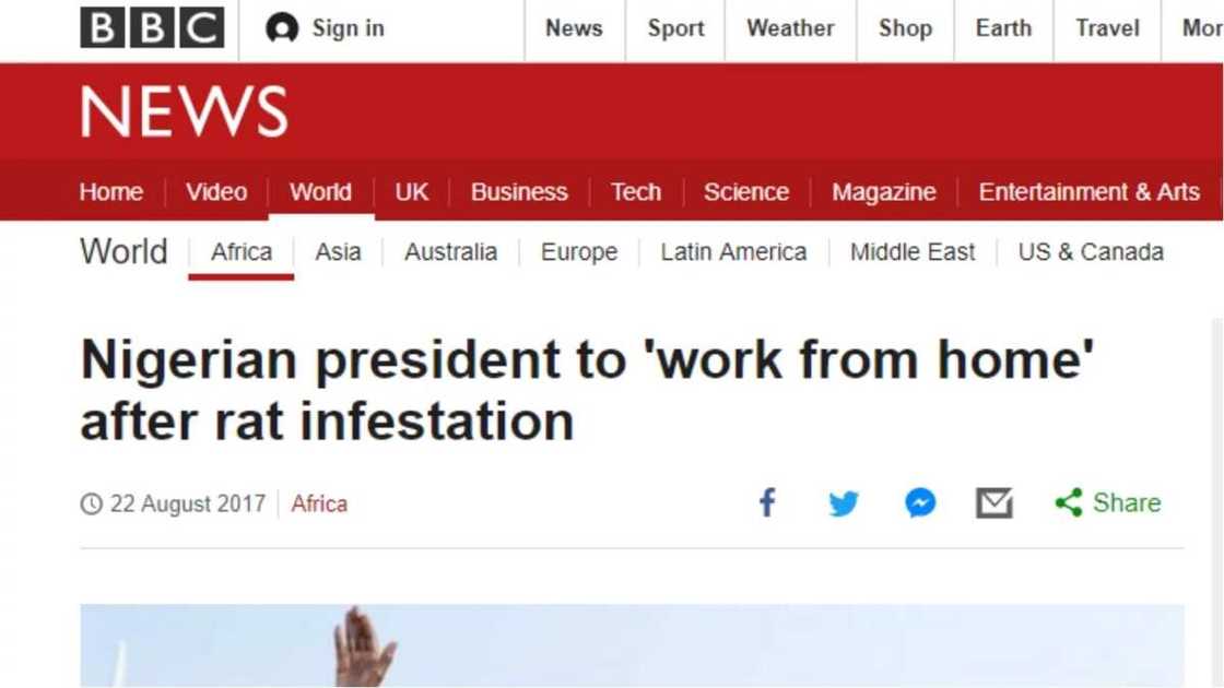 The news was reported in pidgin and standard English on Wednesday, August 22. Photo credit: Legit.ng screenshot The news was reported in pidgin and standard English on Wednesday, August 22. Photo credit: Legit.ng screenshot