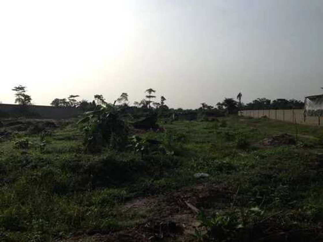 10 Most Fraudulent Places To Buy A Land In Lagos