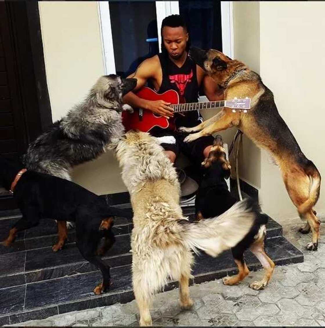 Check Out 10 Things That Stand Flavour Out (PHOTOS) Check Out 10 Things That Stand Flavour Out (PHOTOS)