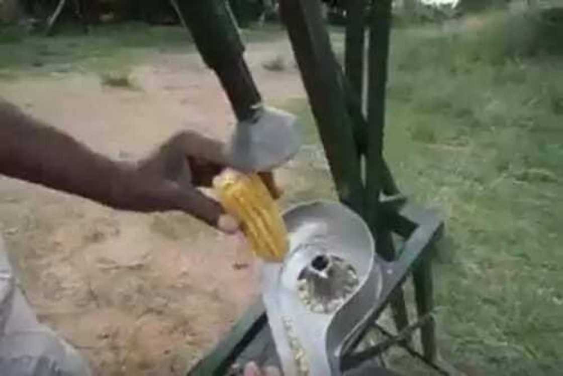 Kalli abun mamaki wani manomi ya kera inji bambaran masara Kalli abun mamaki wani manomi ya kera inji bambaran masara