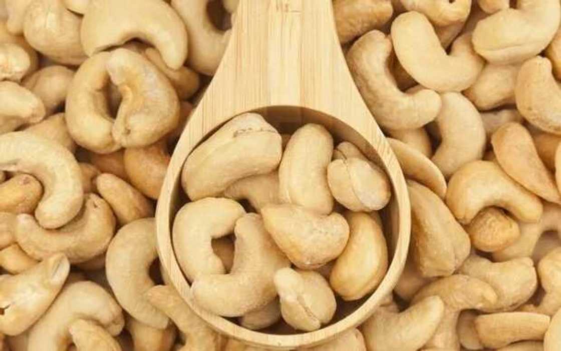 health benefits from cashew nuts health benefits from cashew nuts