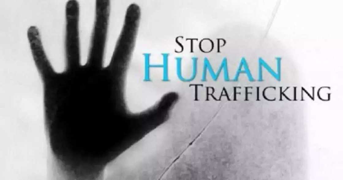 Stop human trafficking Stop human trafficking