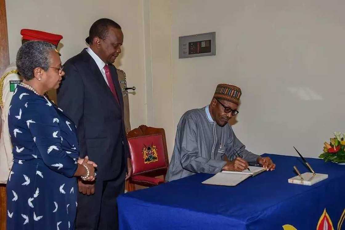 I won’t kill Naira – President Buhari I won’t kill Naira – President Buhari