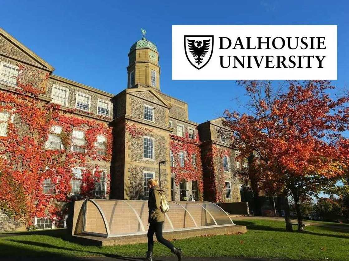 Dalhousie University Dalhousie University
