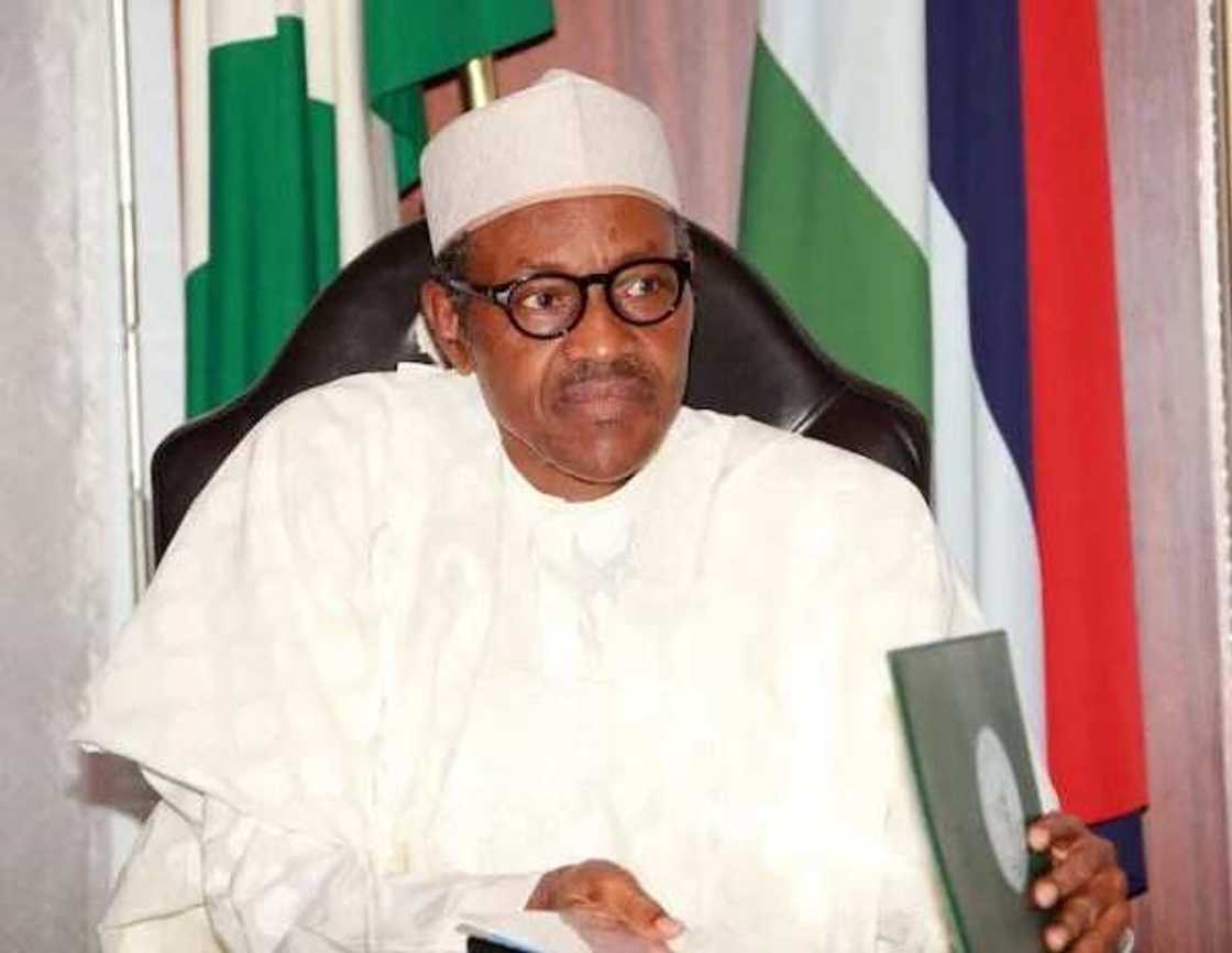 Afenifere berates President Buhari over shoot-on-sight order Afenifere berates President Buhari over shoot-on-sight order