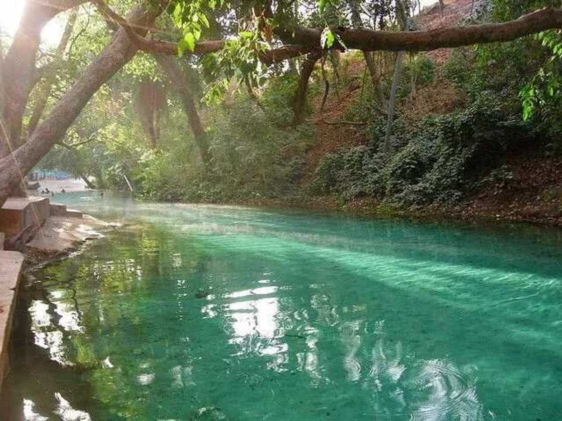 Yankari National Park