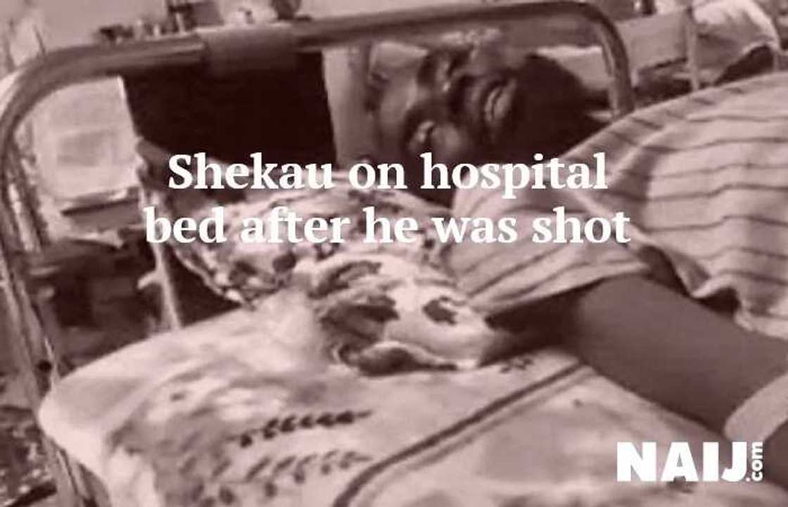 Controversial death: 5 times BH leader Shekau has been killed Controversial death: 5 times BH leader Shekau has been killed