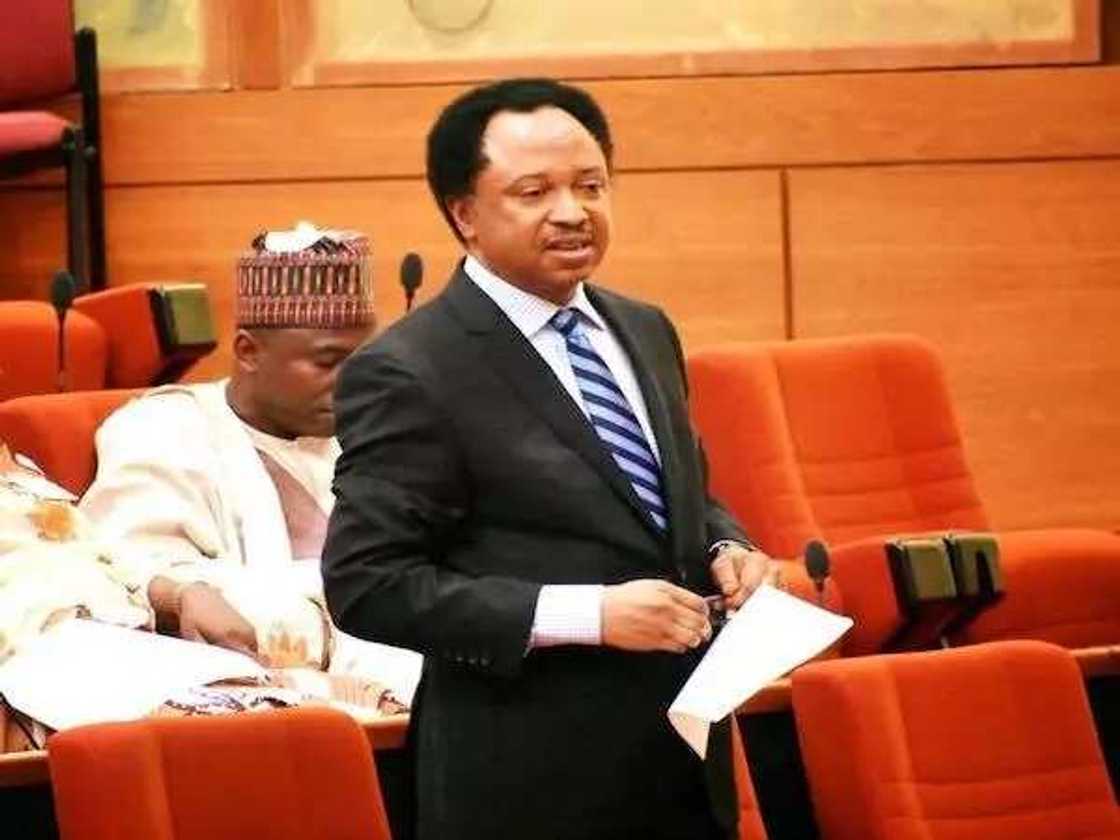 Yanzu-yanzu: Shehu Sani ya janye daga takarar Sanata Yanzu-yanzu: Shehu Sani ya janye daga takarar Sanata