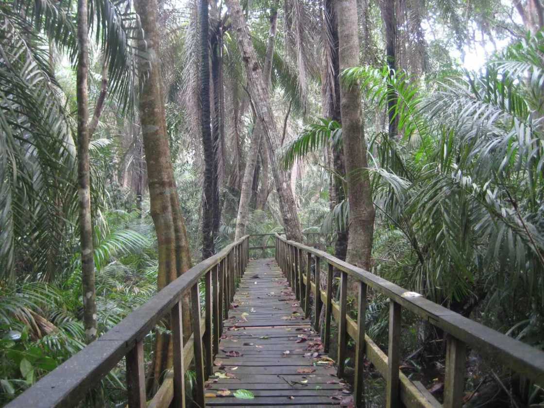 PHOTOS: Top 10 Lagos Attractions To Vist This Summer PHOTOS: Top 10 Lagos Attractions To Vist This Summer
