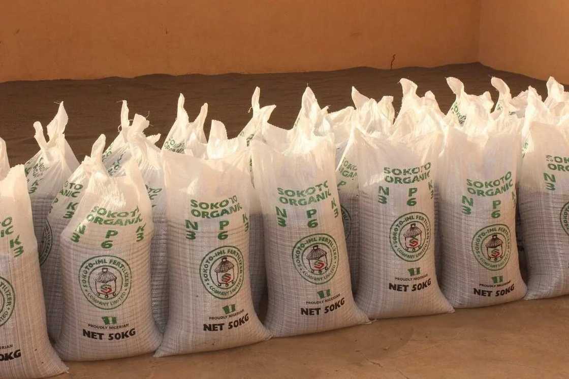 Gwamna Tambuwal ya kaddamar da fara da sayar da takin da aka sarrafa a jihar Sokoto Gwamna Tambuwal ya kaddamar da fara da sayar da takin da aka sarrafa a jihar Sokoto