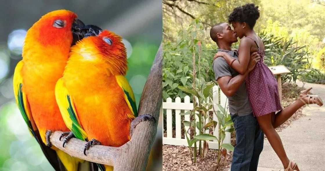 Cute pet names for husband and wife Cute pet names for husband and wife