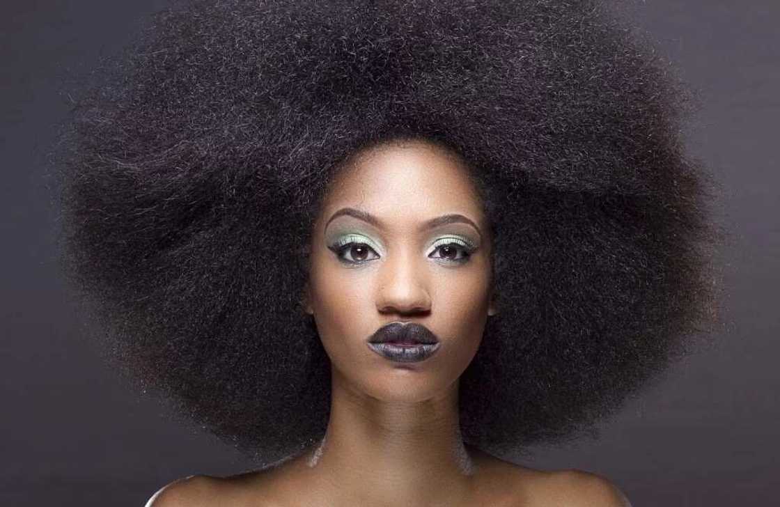 Dija Biography Dija Biography