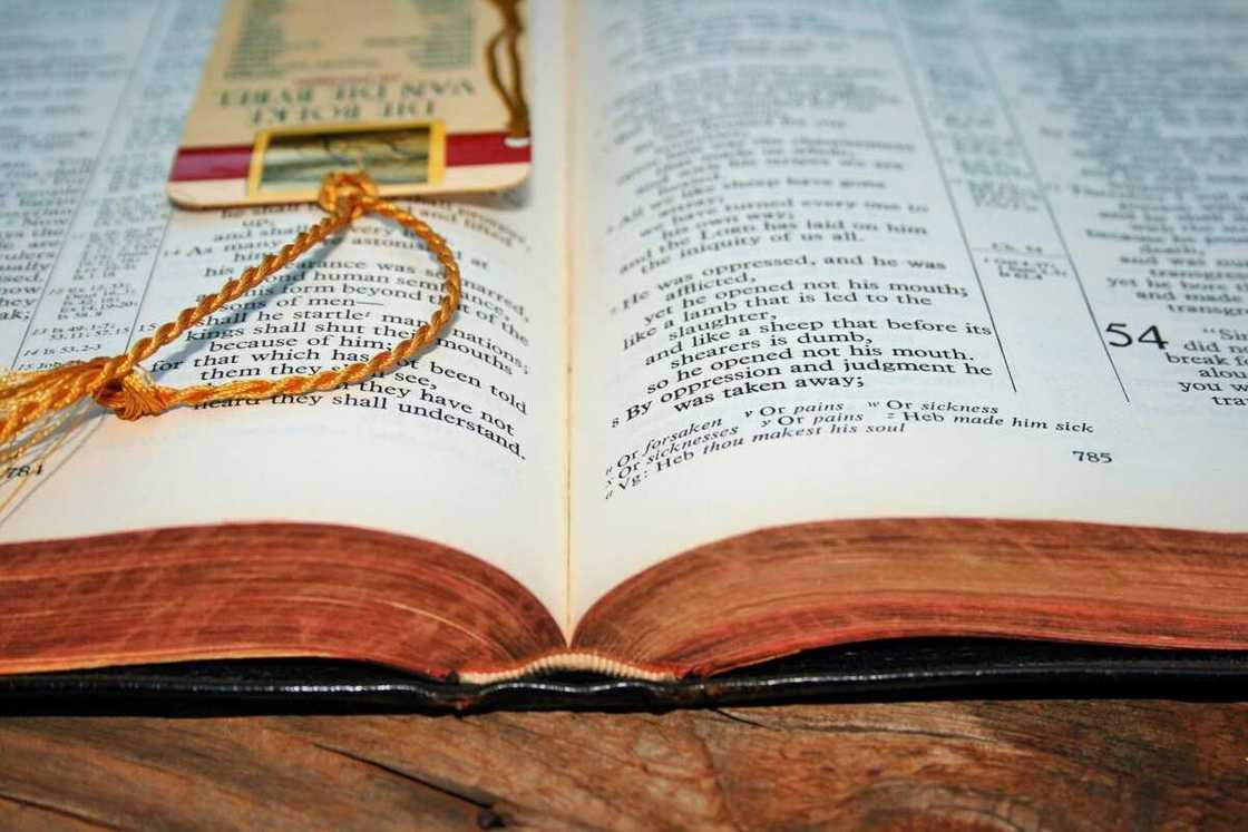 Bible verses Bible verses