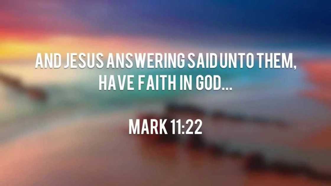 Bible quotes about faith