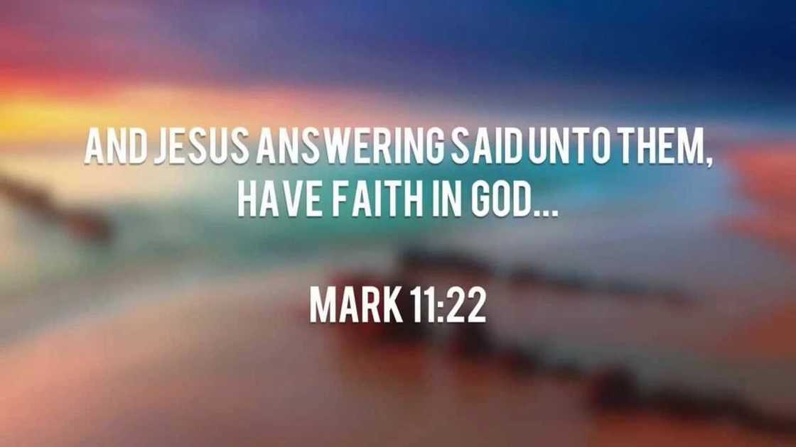 Bible quotes about faith Bible quotes about faith