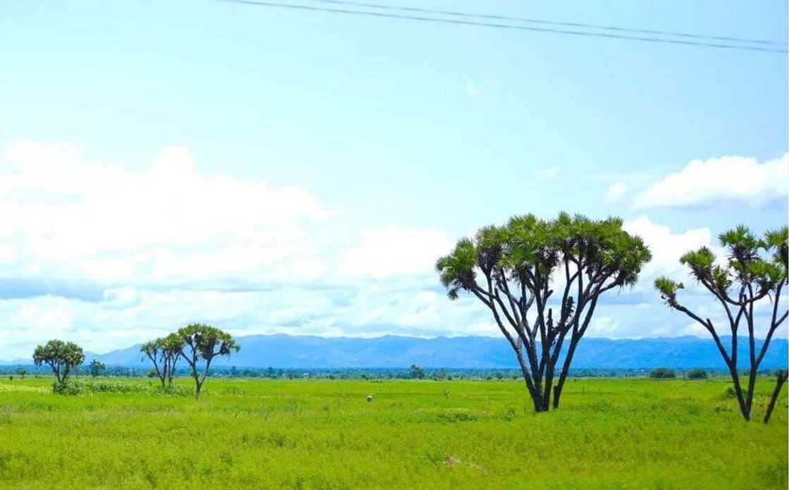 12 absolutely beautiful pictures of Northern Nigeria you should see 12 absolutely beautiful pictures of Northern Nigeria you should see