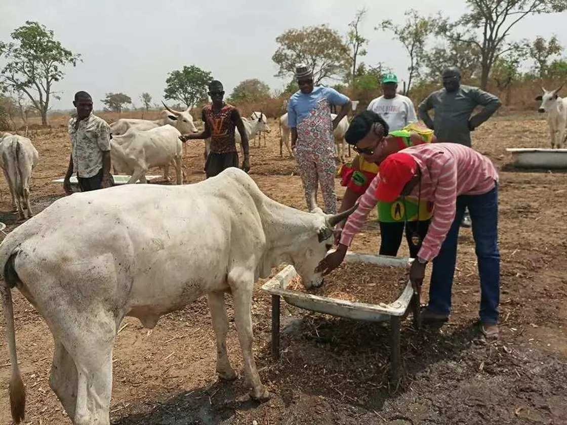 Wata 'yar a-mutum Buhari daga kabilar Ibo tace tana tare da Makiyaya Wata 'yar a-mutum Buhari daga kabilar Ibo tace tana tare da Makiyaya