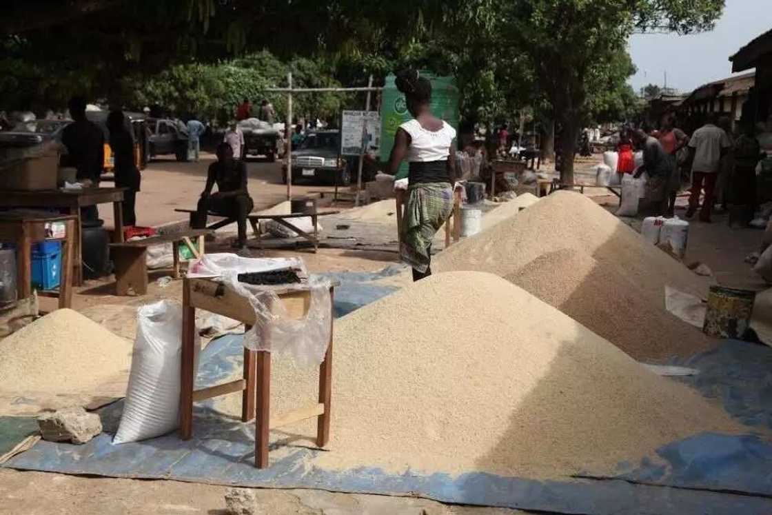 In Ebonyi, it is a near-crime not to be a farmer In Ebonyi, it is a near-crime not to be a farmer