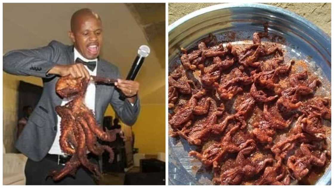 Snake pastor feeds his congregation dog meat and frogs to heal HIV and cancer Snake pastor feeds his congregation dog meat and frogs to heal HIV and cancer