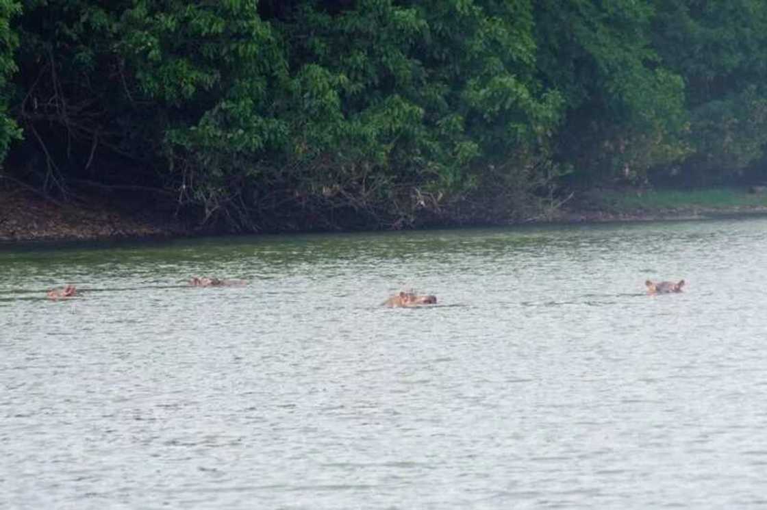 Kainji National Park