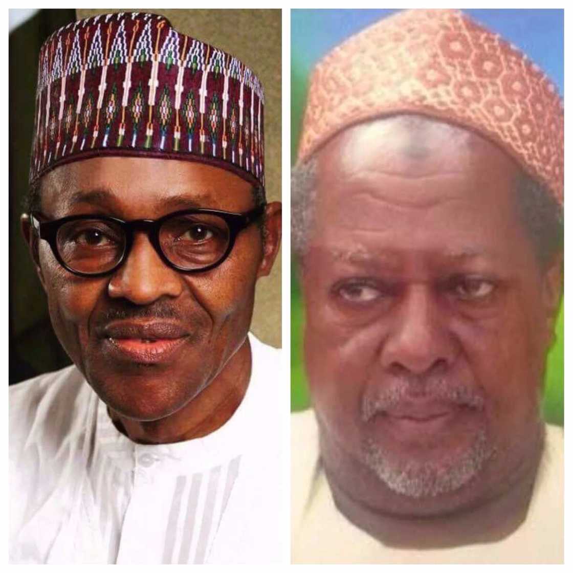 A hanyar Kano zuwa Daura aka binne sihirin da akayiwa Buhari