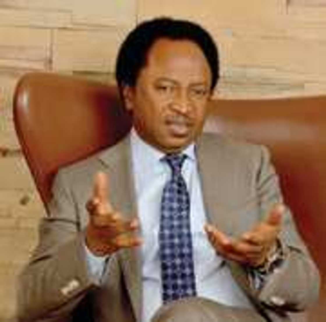 Senator Shehu Sani calls for the dissolution of PACAC, led by Prof. Itse Sagay Senator Shehu Sani calls for the dissolution of PACAC, led by Prof. Itse Sagay
