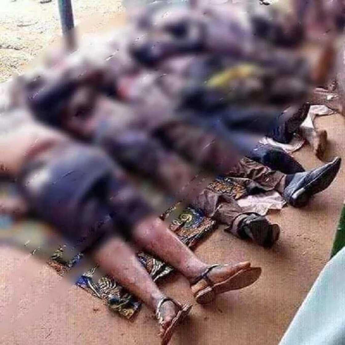 Fani-Kayode releases photos of Southern Kaduna killings Fani-Kayode releases photos of Southern Kaduna killings