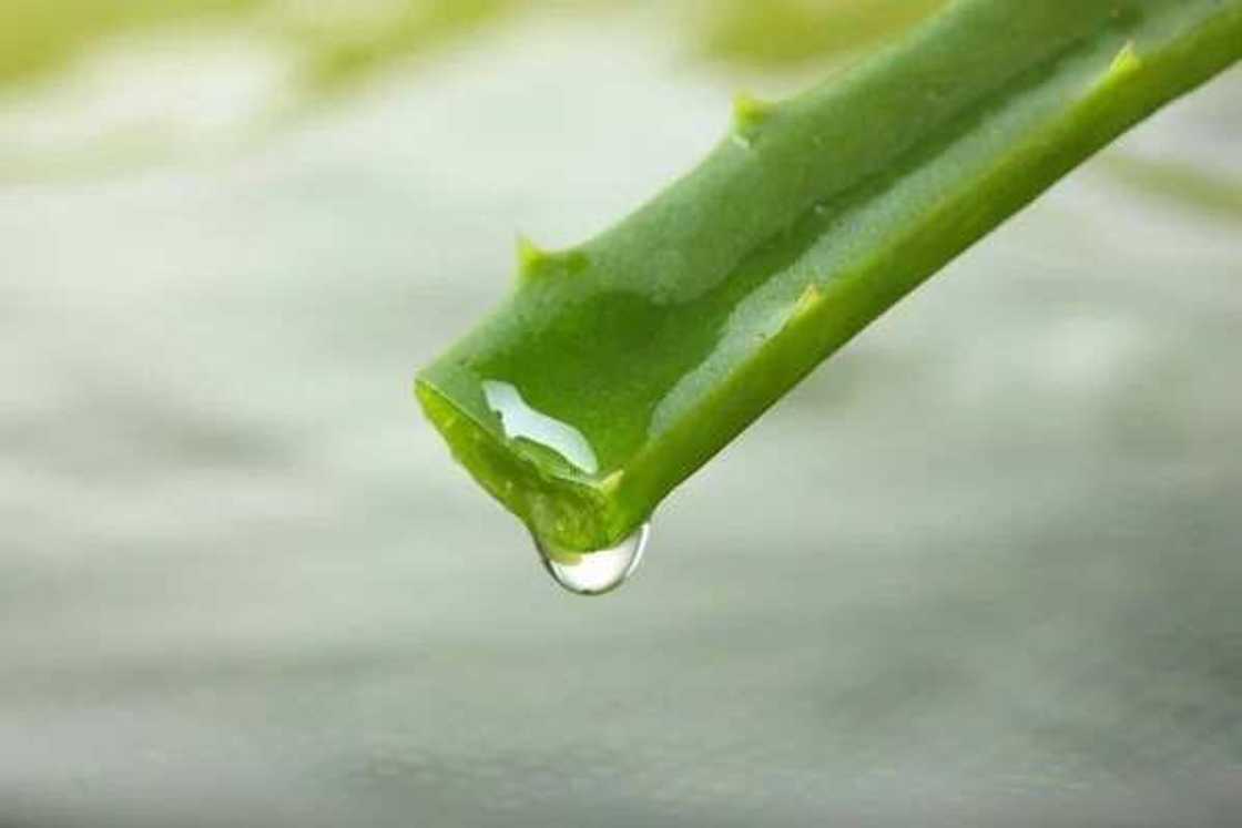 How to get rid of dark spots in 10 easy natural ways How to get rid of dark spots in 10 easy natural ways