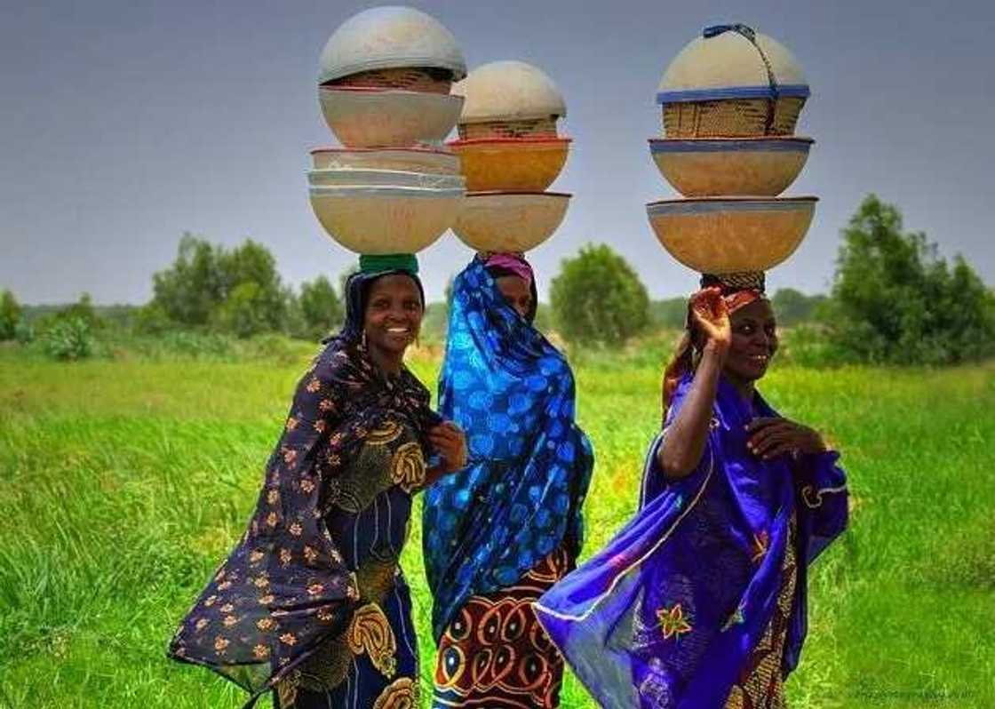 Hausa Fulani culture