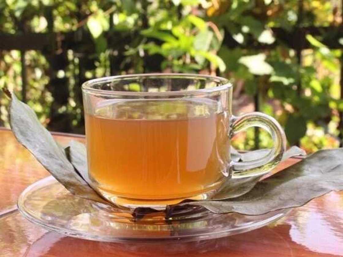 soursop leaves tea on table