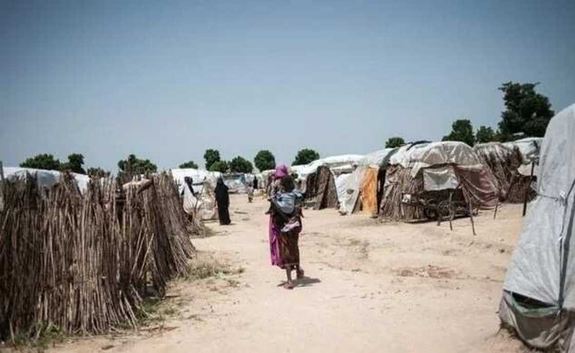 Yadda Sojojin Najeriya da Sojojin Kamaru suke cin zarafin yan Mata da Mata a sansanin yan gudun hijira Yadda Sojojin Najeriya da Sojojin Kamaru suke cin zarafin yan Mata da Mata a sansanin yan gudun hijira