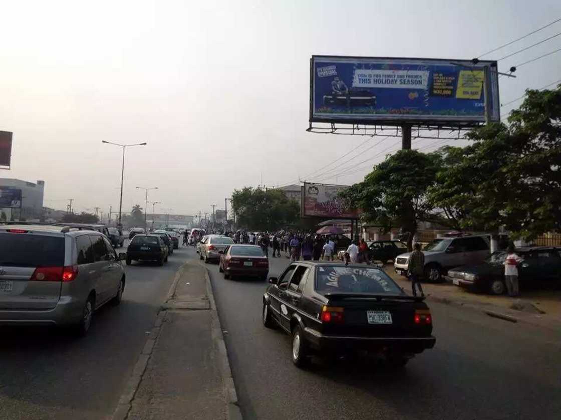 Biafra supporters hold solidarity march for Trump Biafra supporters hold solidarity march for Trump