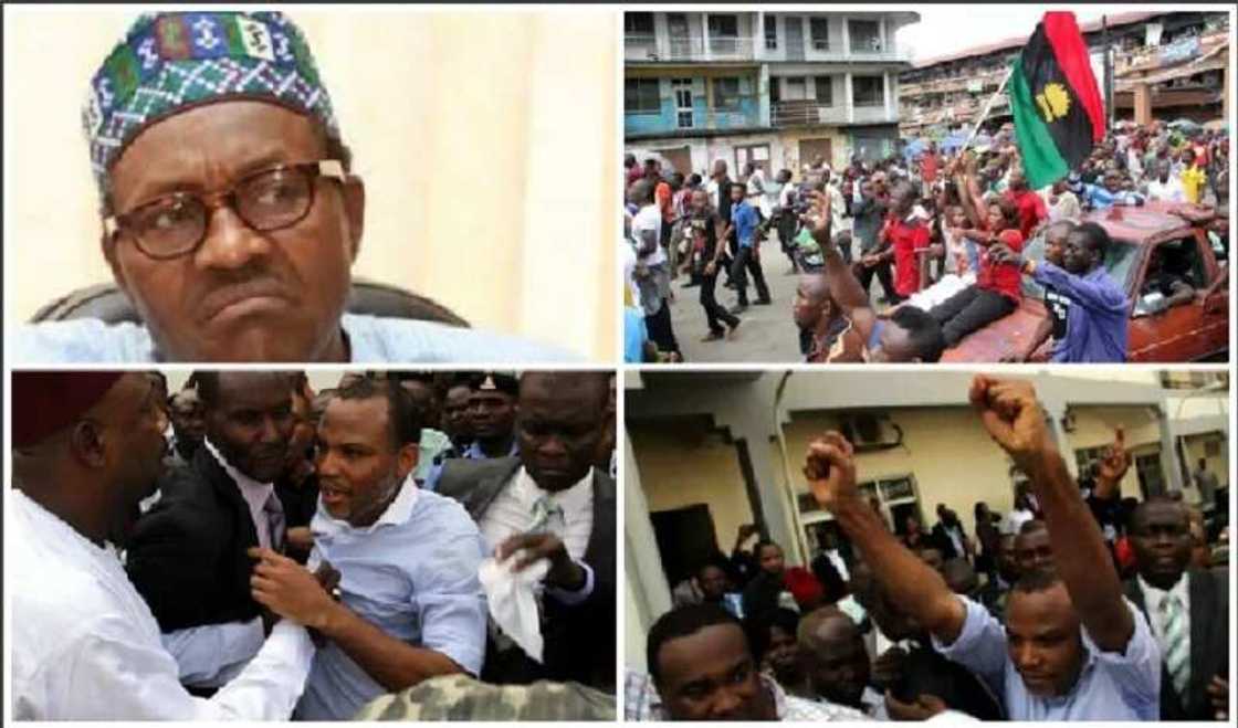 BREAKING: Southern Cameroon joins Biafra, pledges support for IPOB BREAKING: Southern Cameroon joins Biafra, pledges support for IPOB